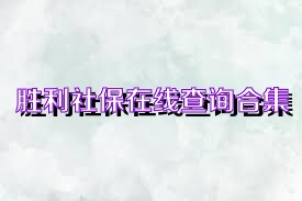 胜利社保在线查询合集