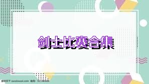剑士比赛合集