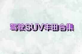 驾驶SUV丰田合集