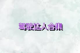 驾驶达人合集