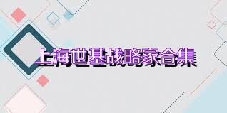 上海世基战略家合集