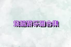 烧脑游乐园合集