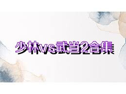 少林vs武当2合集