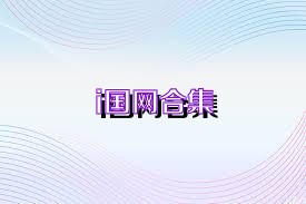 i国网合集