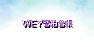 WEY智拍合集