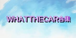 WHATTHECAR合集