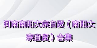 河南南阳大宗自贸（南阳大宗自贸）合集