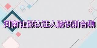 河南社保认证人脸识别合集