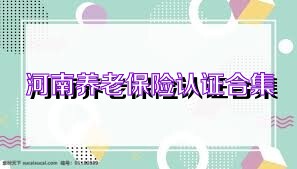 河南养老保险认证合集