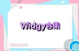 Widgy合集