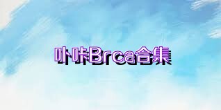 卟咔Brca合集