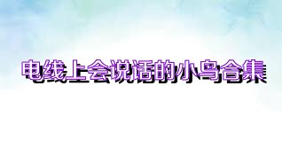 电线上会说话的小鸟合集