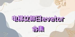 电梯女郎Elevator合集