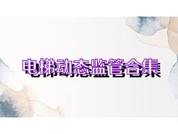 电梯动态监管合集