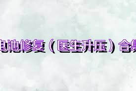 电池修复（医生升压）合集