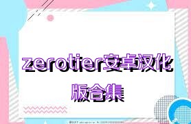 zerotier安卓汉化版合集