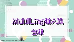 MultiLing输入法合集