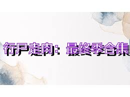 行尸走肉：最终季合集