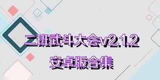 二班武斗大会v2.1.2安卓版合集