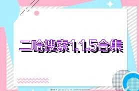 二哈搜索1.1.5合集