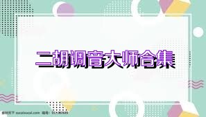 二胡调音大师合集
