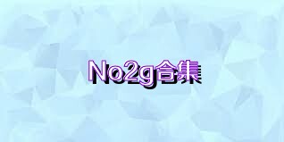 No2g合集
