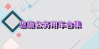 恩施公务用车合集