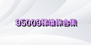 95009梯维保合集
