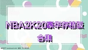 NBA2K20豪华存档版合集