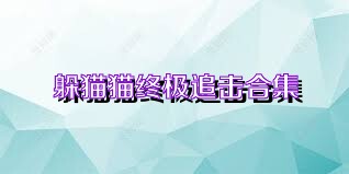 躲猫猫终极追击合集