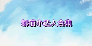 躲猫小达人合集