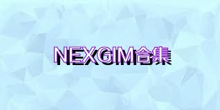 NEXGIM合集