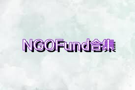 NGOFund合集