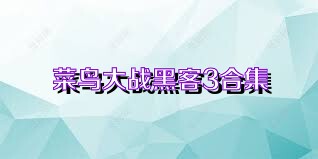 菜鸟大战黑客3合集