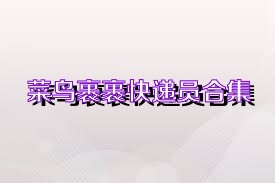 菜鸟裹裹快递员合集