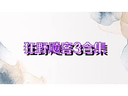 狂野飚客3合集