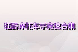 狂野摩托车手竞速合集