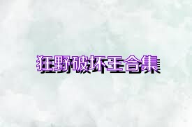 狂野破坏王合集