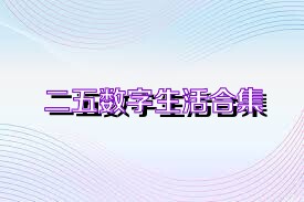 二五数字生活合集