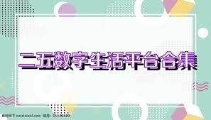 二五数字生活平台合集