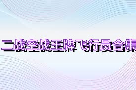 二战空战王牌飞行员合集