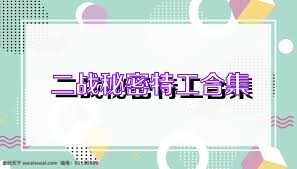 二战秘密特工合集