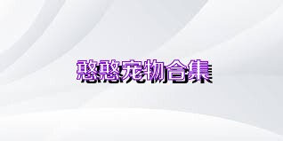 憨憨宠物合集