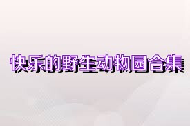 快乐的野生动物园合集