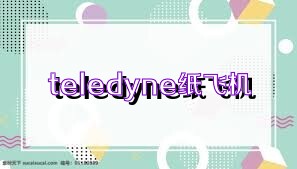 teledyne纸飞机