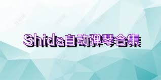 Shida自动弹琴合集