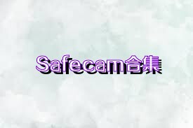 Safecam合集