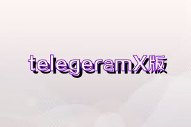 telegeramX版