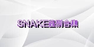 SNAKE鉴别合集