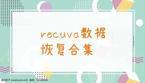 recuva数据恢复合集